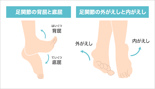 図:ユニバーサル・ジョイント