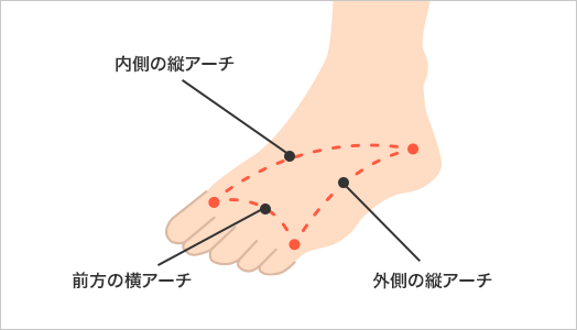 図：足のアーチ構造